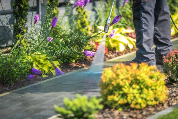 Best Gutter Cleaning  in Ashland, VA